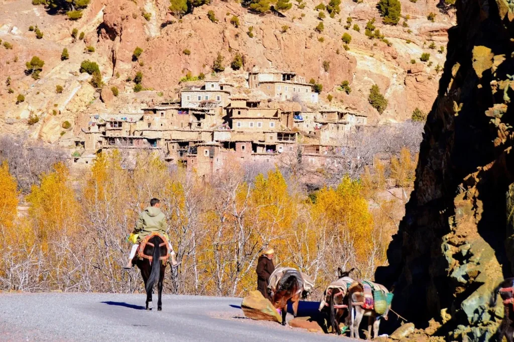 Berber culture Morocco